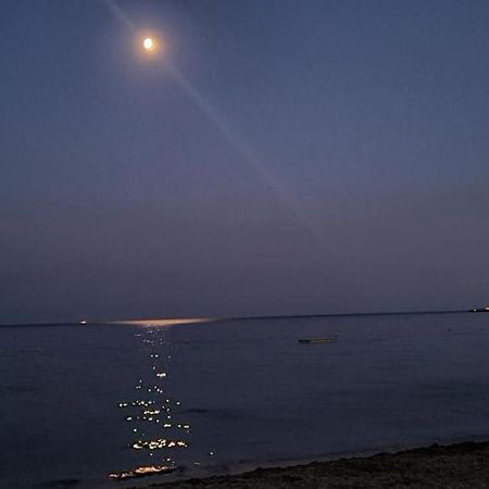 Le Tamaya Plage Charmant T2 En Rez De Jardin A 2 Pas D Une Belle Plage De Toutes Commodites Et Centre Ville Port Кавалере-сюр-Мер Екстериор снимка