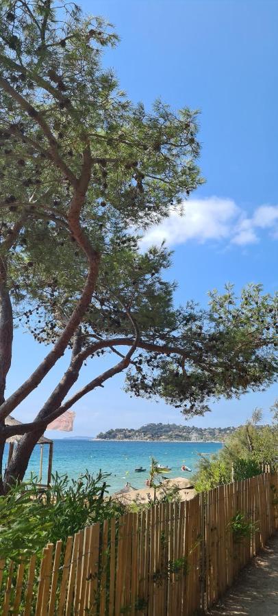 Le Tamaya Plage Charmant T2 En Rez De Jardin A 2 Pas D Une Belle Plage De Toutes Commodites Et Centre Ville Port Кавалере-сюр-Мер Екстериор снимка